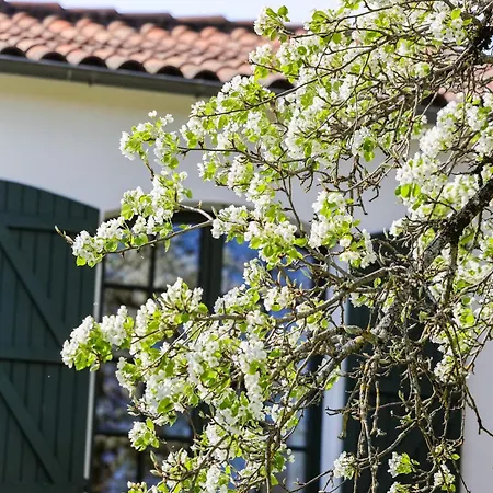 Domaine De La Coudre Bréville