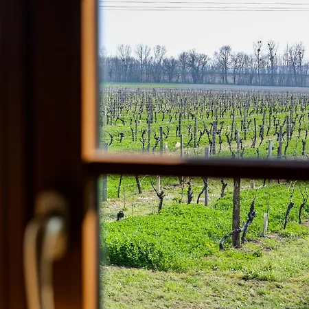 Domaine De La Coudre *