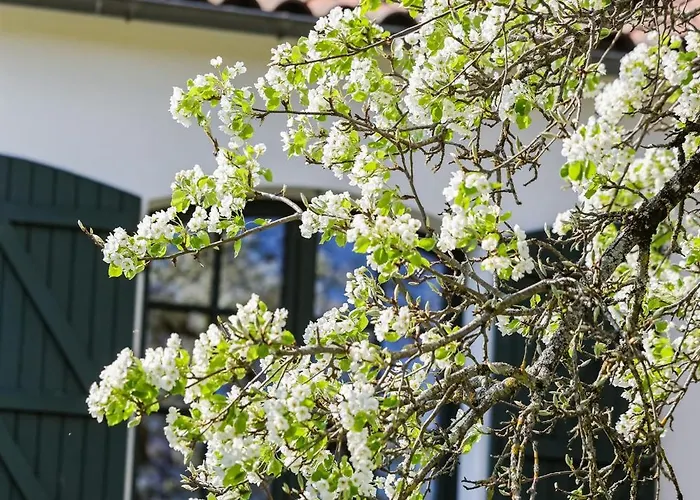 Domaine De La Coudre Bréville