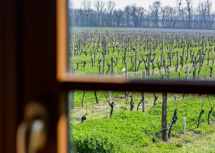 Domaine De La Coudre *